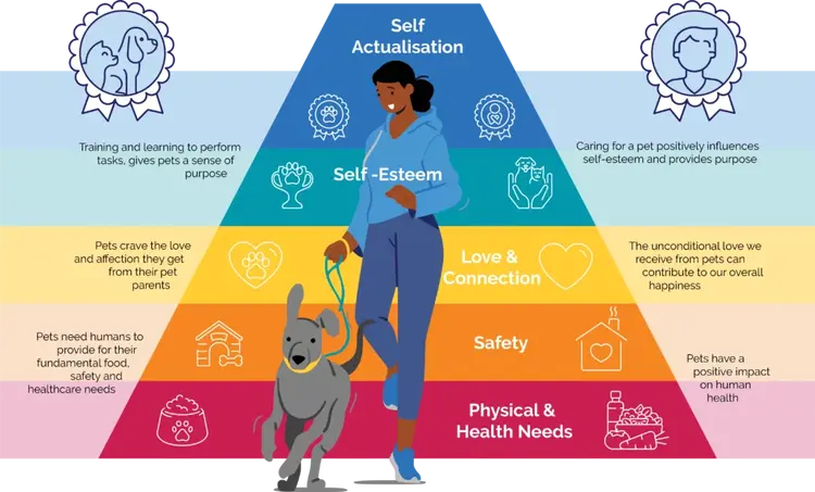 The interdependence of humans and pets: a fulfilling bond | PetSure